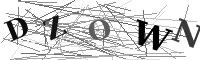 Please refresh your browser to see this image.
